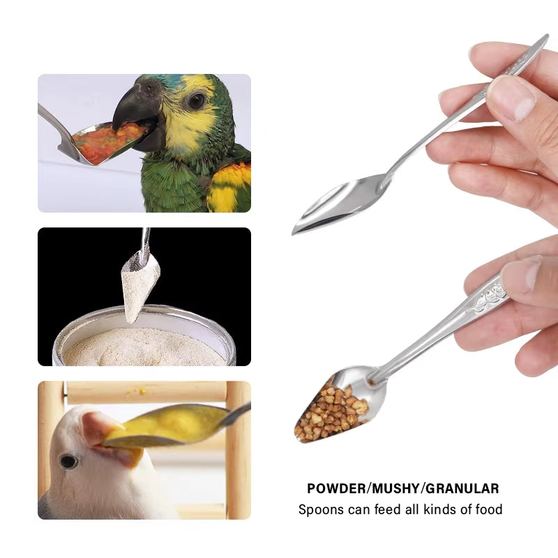 Bird Feeding Spoon Pet Bird Parrot Bird Cage Add Food Spoon Stainless Steel Feede Bird Food Spoon Feeding Bird Supplies