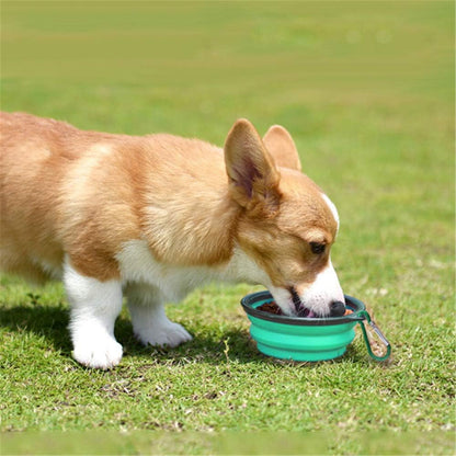 Collapsible Pet Bowl Dog Bowls 2 Pack, Portable Silicone Pet Feeder, Foldable Expandable for Dog/Cat Food Water Feeding, Travel Bowl for Camping (Light Blue+Light Green)