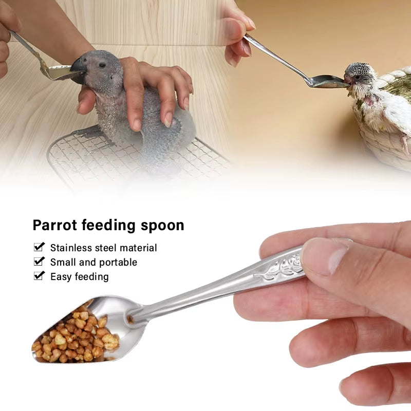 Bird Feeding Spoon Pet Bird Parrot Bird Cage Add Food Spoon Stainless Steel Feede Bird Food Spoon Feeding Bird Supplies