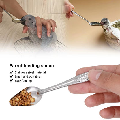 Bird Feeding Spoon Pet Bird Parrot Bird Cage Add Food Spoon Stainless Steel Feede Bird Food Spoon Feeding Bird Supplies