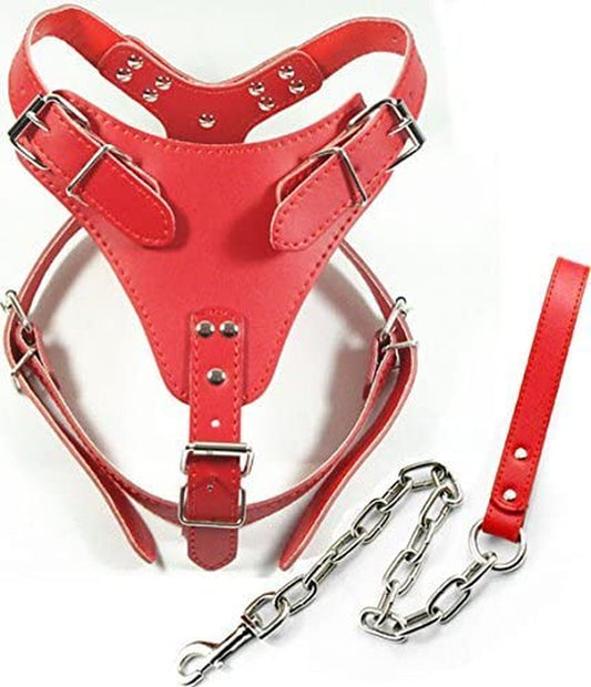 24"-32" Soft Leather Dog Harness&Leash Set Large for Pit Bull, Boxer, Bull Terrier