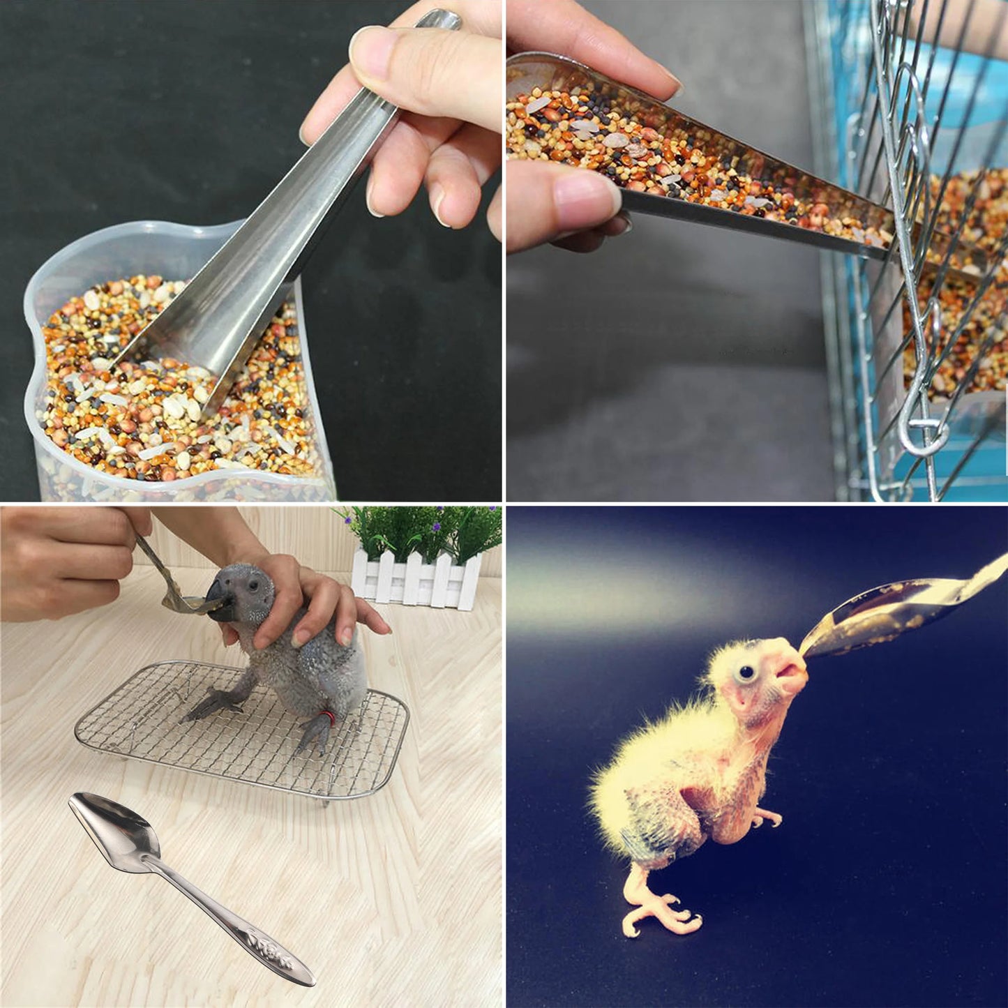 Bird Feeding Spoon Pet Bird Parrot Bird Cage Add Food Spoon Stainless Steel Feede Bird Food Spoon Feeding Bird Supplies