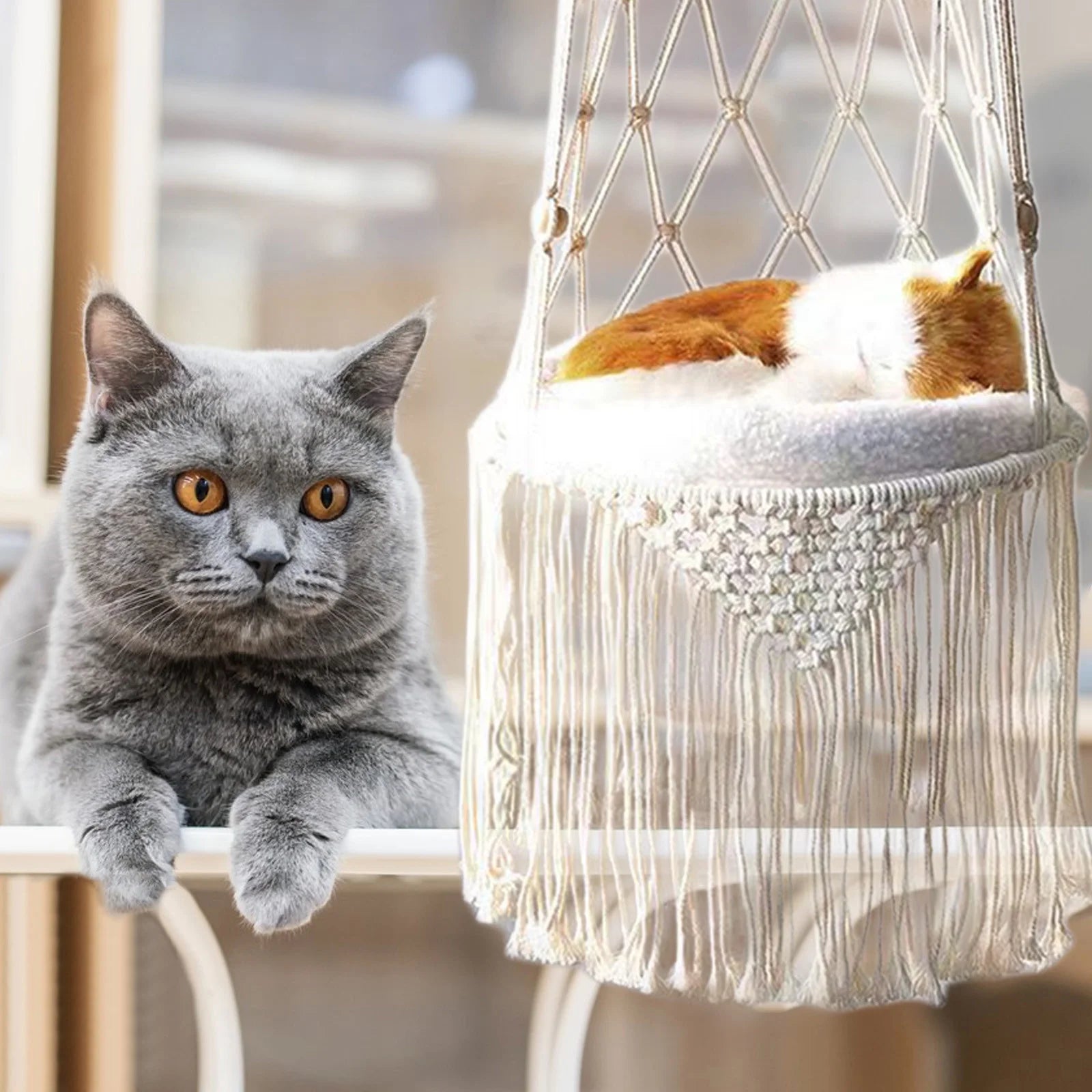 Cats Bed Cats Hammocks Window Perches Safe Cats Shelves Space Saving Window Mounted Cats Seat for Large Cats Cats Hanging Bed Cats Hanging Basket Swings